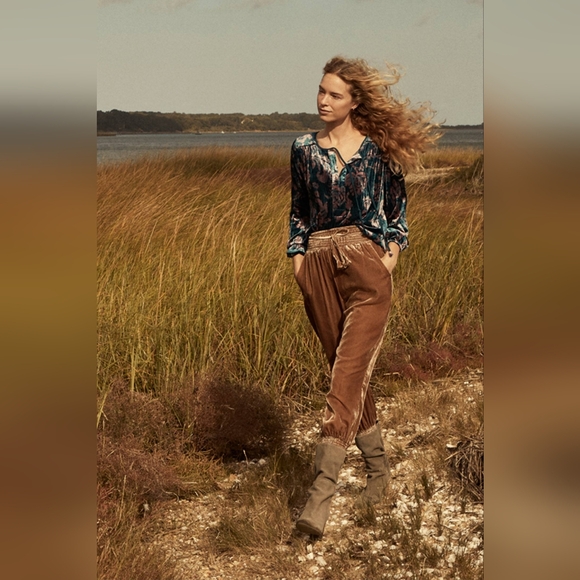 Anthropologie Faustine Blue Pink Velvet Peasant Blouse Women's Size Large NWT - Picture 4 of 15